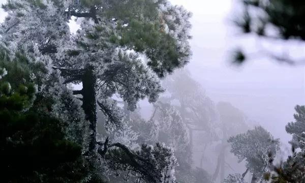 拯救红色方块