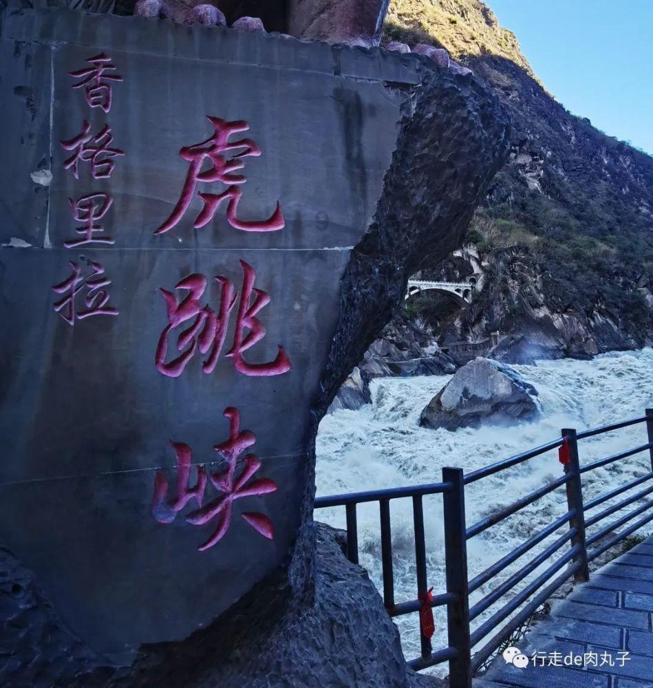 逗小猴开心系列172
