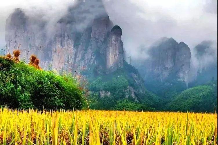 央视调查医保“回流药