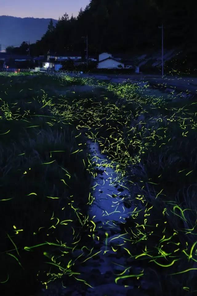 缤纷水果茶无敌版