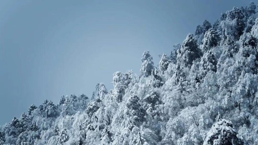 业主投诉!益阳碧桂园梓山府多栋楼延期交房近半年了,该找谁?!相关部门回复!