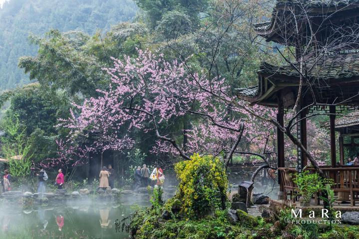 逆境英雄降临