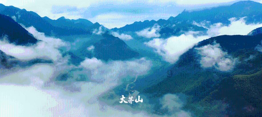 豪华酒店大逃生