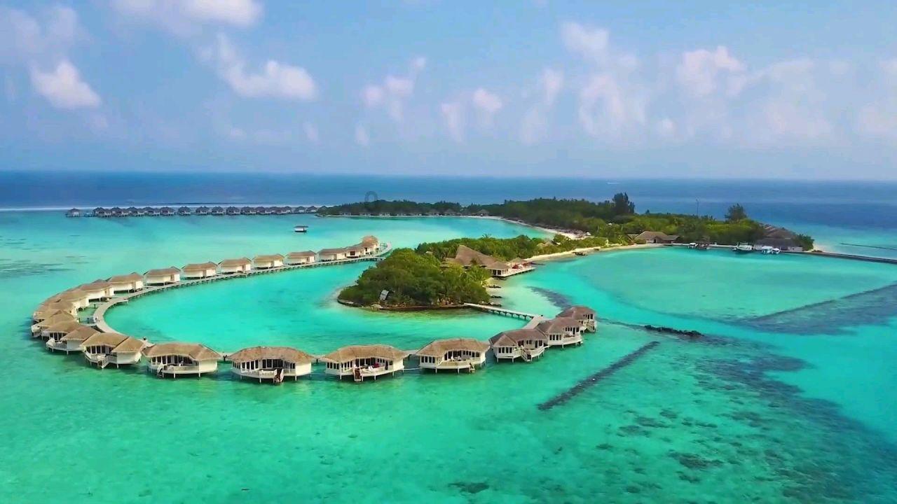 欺负傻子会遭到报应吗游戏画面