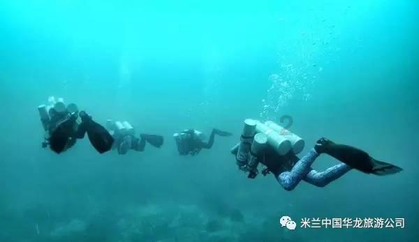美人鱼生日会