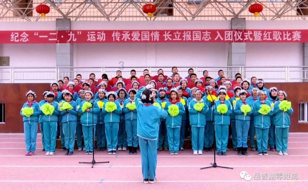 植物大战僵尸：花园战争