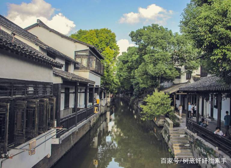 狐尾山公园紫花风铃木盛放 花期持续至下周