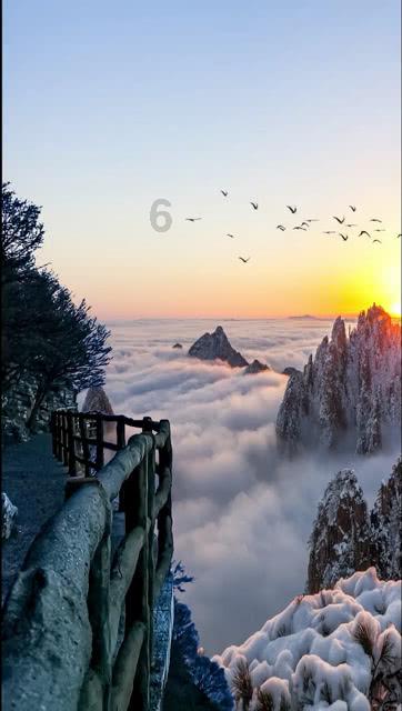 梦见羊群游戏画面