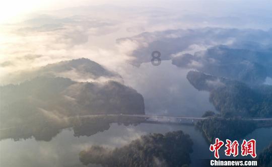 轮胎被扎怎么办？第一步不是急着去补胎，小心整条轮胎都报废游戏画面